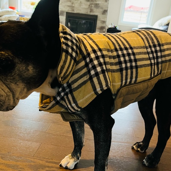 Doggy winter jackets, S(red)-M(beige), reversible, easy to put on and take off - Picture 3 of 11